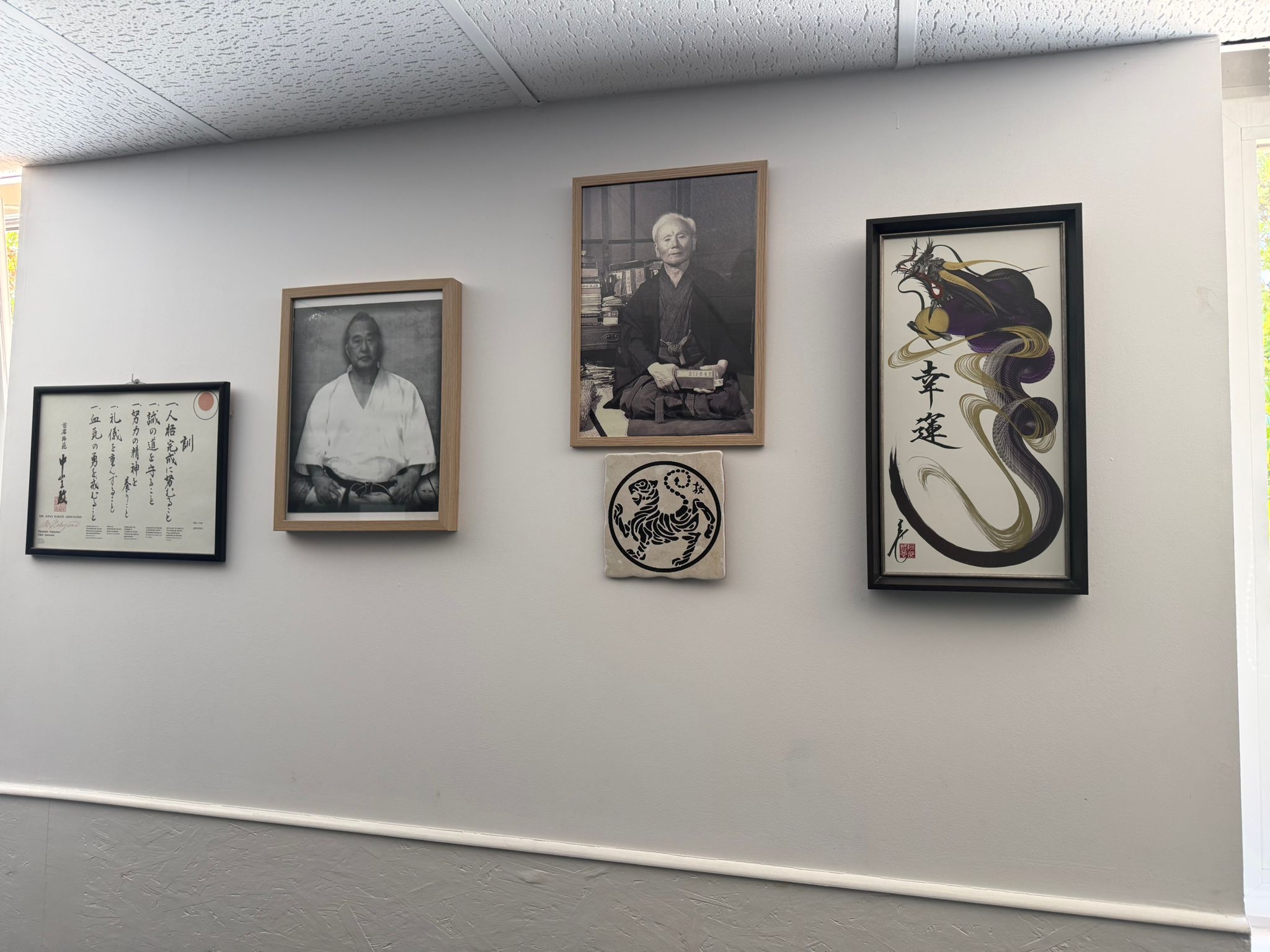 Detalle Dojo