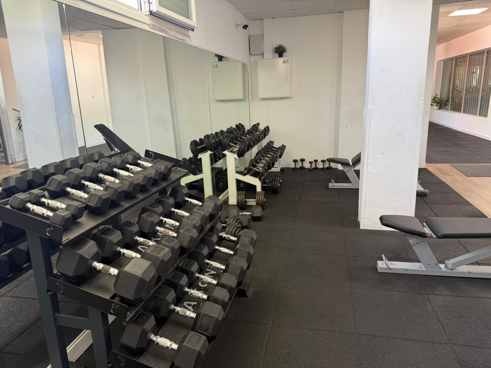 Musculación